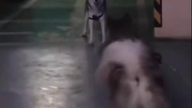 When you underestimate your friend