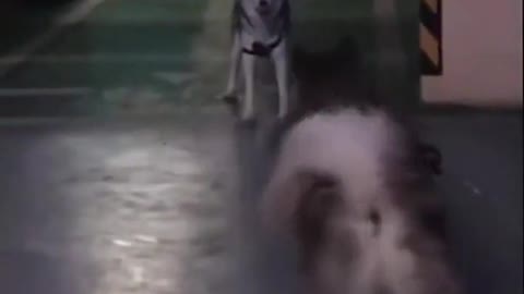 When you underestimate your friend