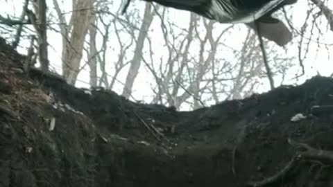 Personnel from the front line are published by fighters from Yakutia