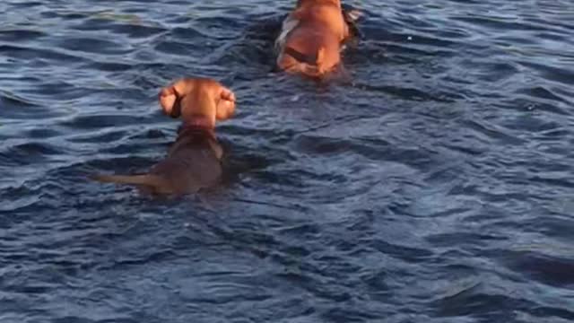 Swimming hole