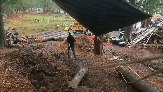 Gettin’ ready to mill some slabs! #fyp #foryoupage #liveedge