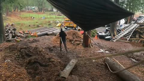 Gettin’ ready to mill some slabs! #fyp #foryoupage #liveedge