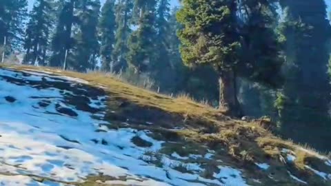 Gulmarg kashmir