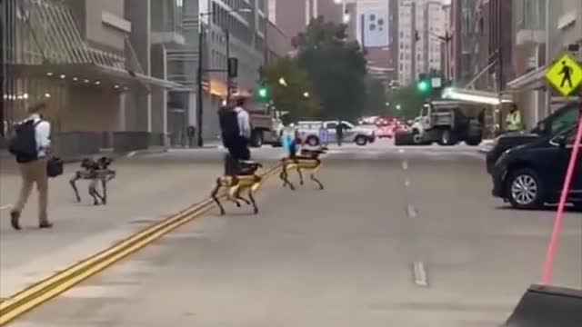 Militant robot spotted in DC it looks like they’re protecting the owners…
