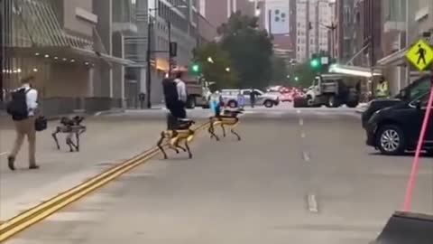 Militant robot spotted in DC it looks like they’re protecting the owners…