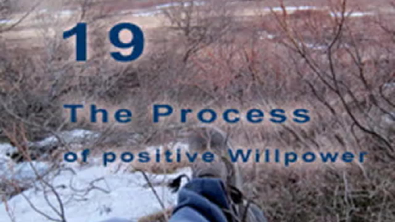 The Positive Process - Chapter 19. Self Value