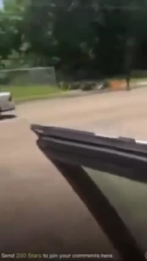 Ghetto Queens Shooting at Each Other