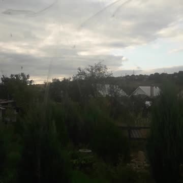 Today's view from the window