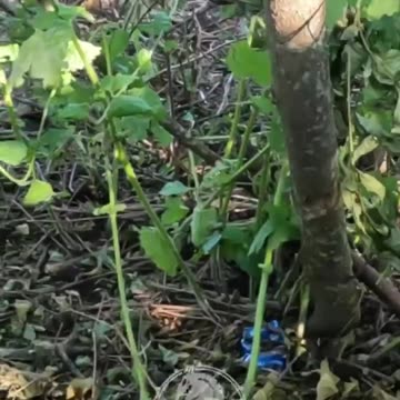 47 OMBr "Magura" together with Chief Sergeant Markus breaks through the defense of the russians