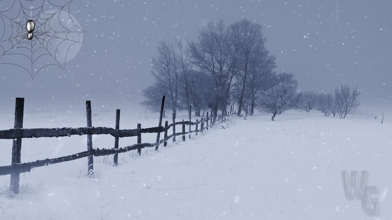 Wooden Fence and trees in Winter Loop