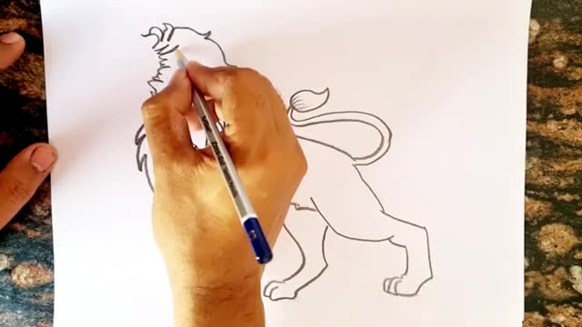 How to draw a Lion step by step