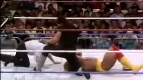 Hulk Hogan vs the undertaker