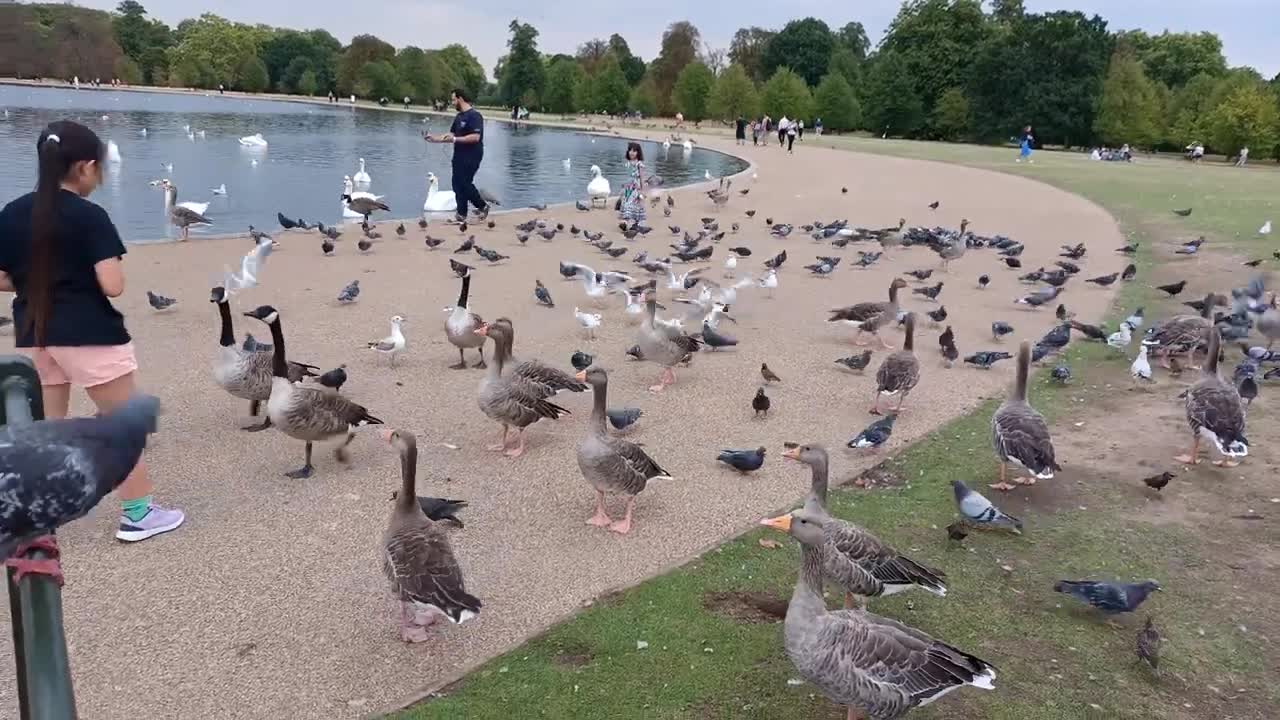 Kensington Palace