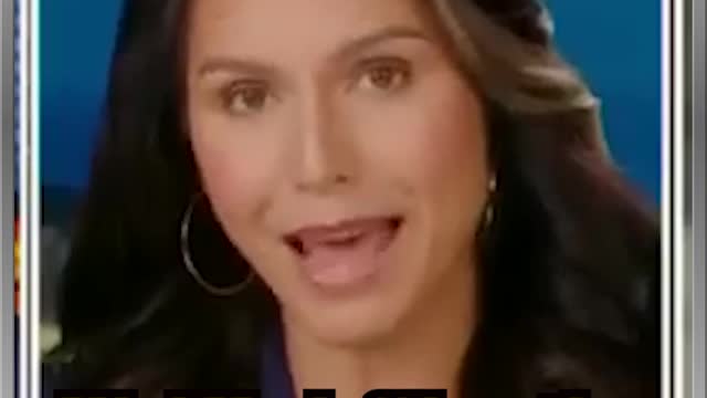 "How is this guy not behind bars?": Tulsi explains