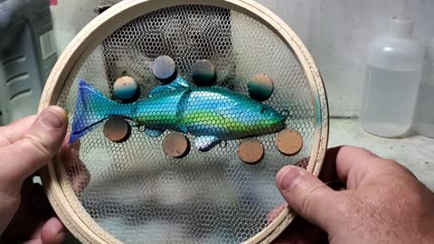 3 piece swimbait paint session