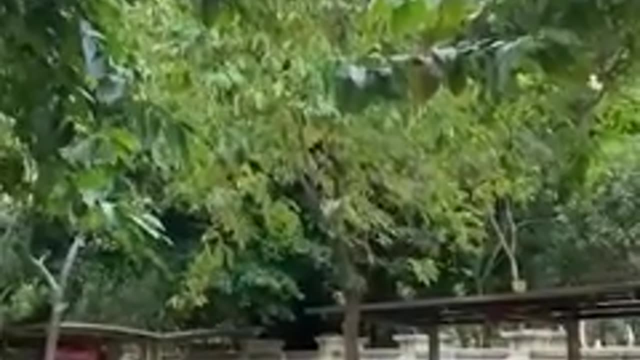 Funny video🤑🤑🤑