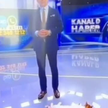 Funny Videos of Cats Sleeping on TV Shows | Try Not Laugh