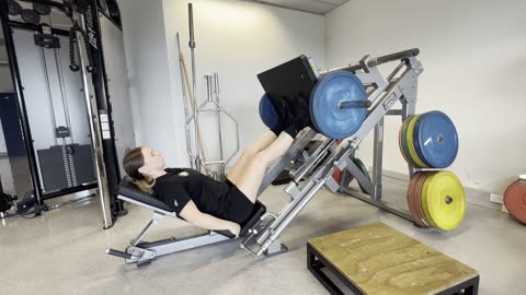 Leg Press (plate loaded)