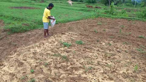 Farmar working