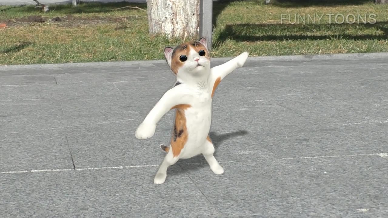 Funny dancing cats.