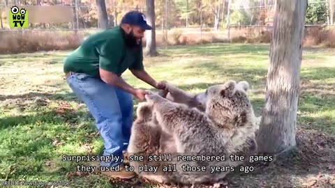 Animals Reunited With Owners After Years!