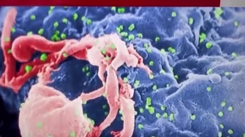 Every virus since HIV has been a gain of function deployed ‘infection by injection