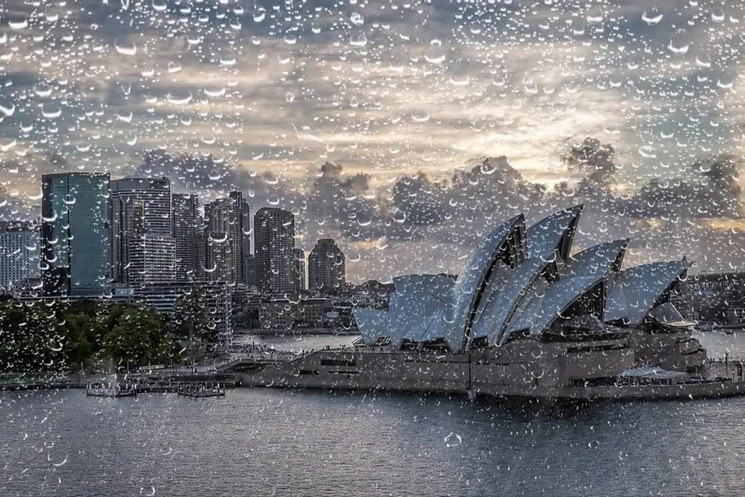 Relax Library: Video 23.Torrential Rain thunderstorm. Relaxing videos and sounds