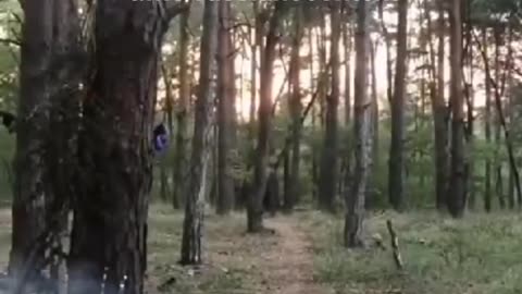🍳🇷🇺 Russia Ukraine War | Russian Soldier Cooking Records Ukrainian BM-21 Grad Strike | Camp Af | RCF