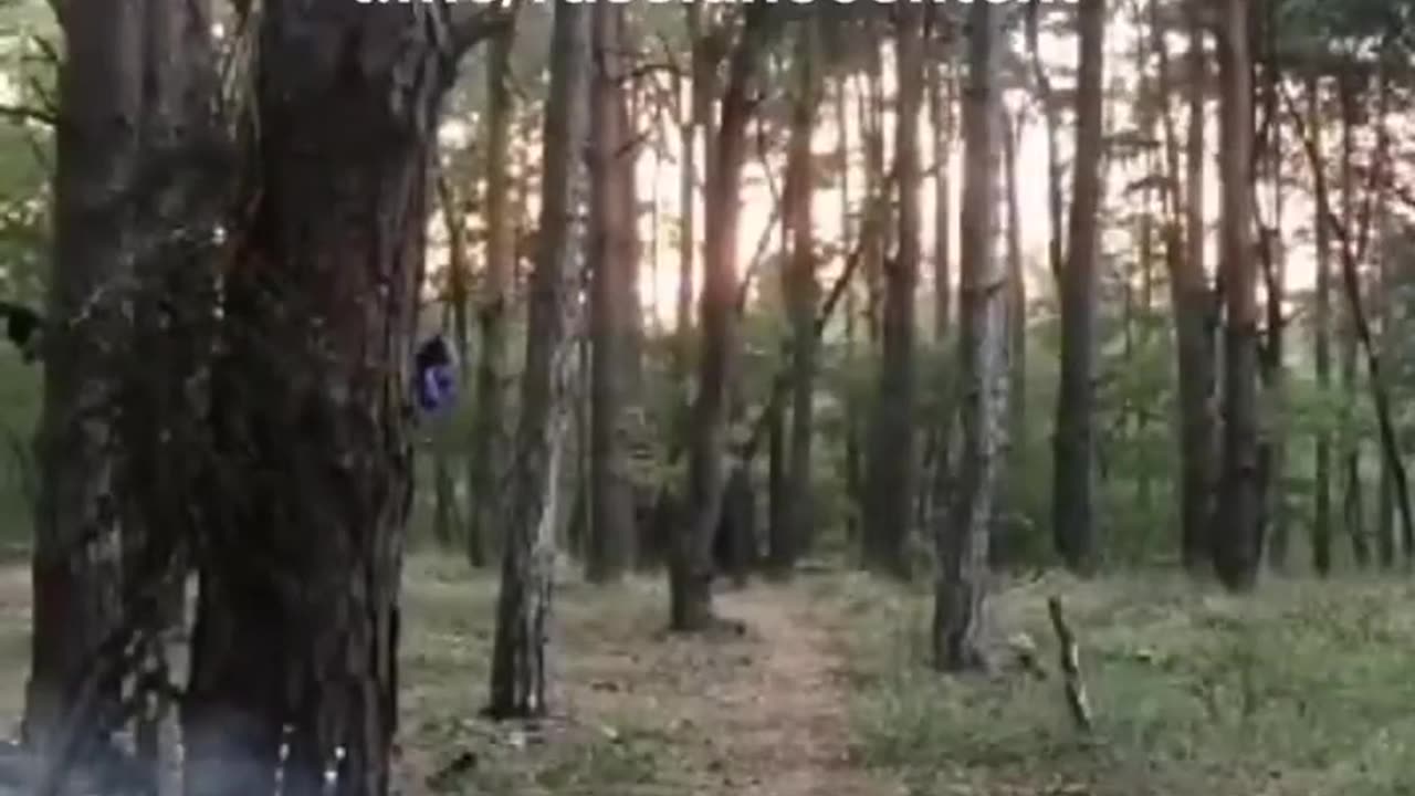 🍳🇷🇺 Russia Ukraine War | Russian Soldier Cooking Records Ukrainian BM-21 Grad Strike | Camp Af | RCF