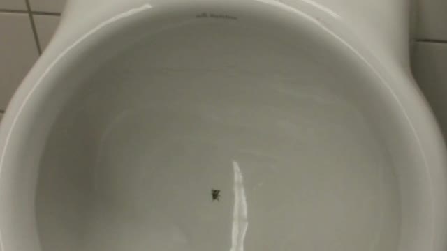 PERFECT AIM IN URINAL