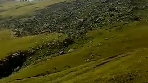 Nice video so greenery