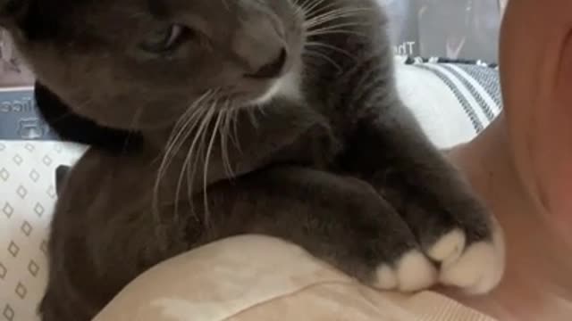 Kitty Steals Personal Massage