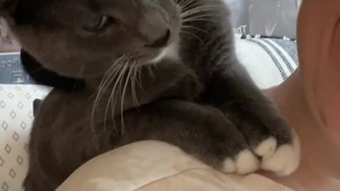 Kitty Steals Personal Massage