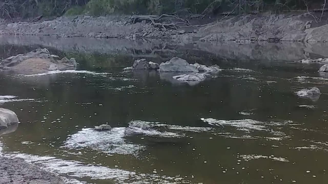 5.11.2024 The Barron River, Kuranda (9)