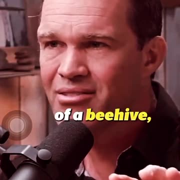 Bees, The Key Of C & PTSD