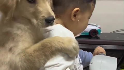 Dog and child love