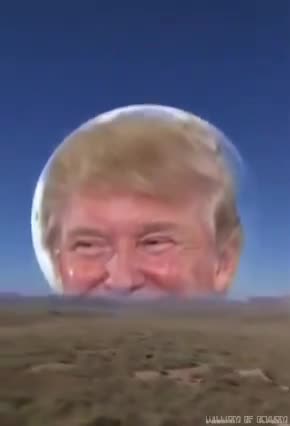 WillOckhamMemes - I hear there is going to be a total eclipse tomorrow.