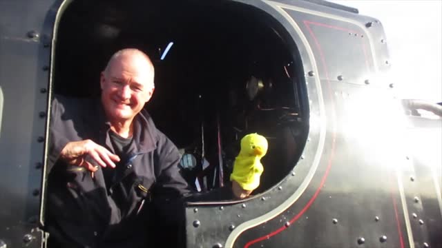 duck on train