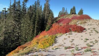 Oregon – Mount Hood – Exploring the Alpine Highland – 4K