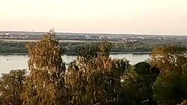 urban nature