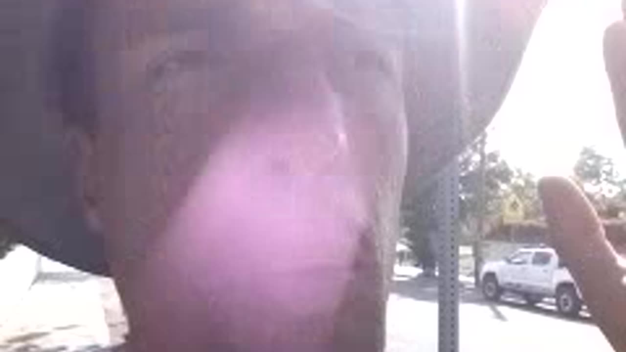 "THE HIGH WIRE = THEOBROMA CACAO = THE TRUTH." 4:25pm, Apr 30, 2023.