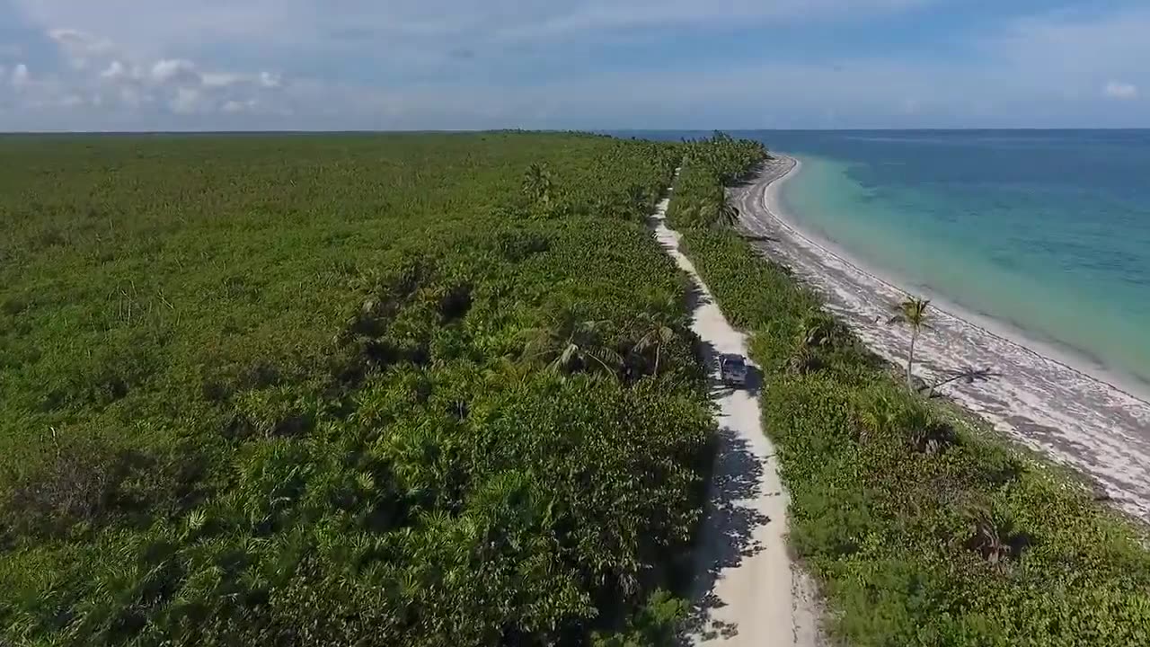 Beautiful forest Island | Free stock footage - HD Video