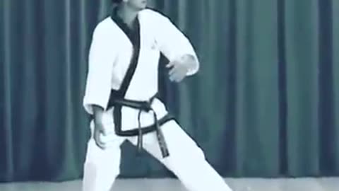 Taekwondo