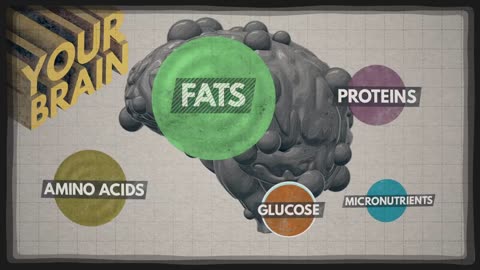 How the food you eat effect your brain