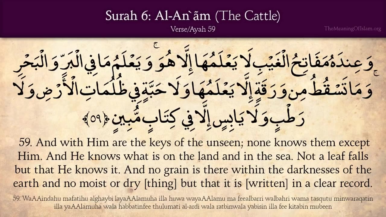 Quran: 6. Surat Al-An'am (The Cattle): Arabic and English translation HD