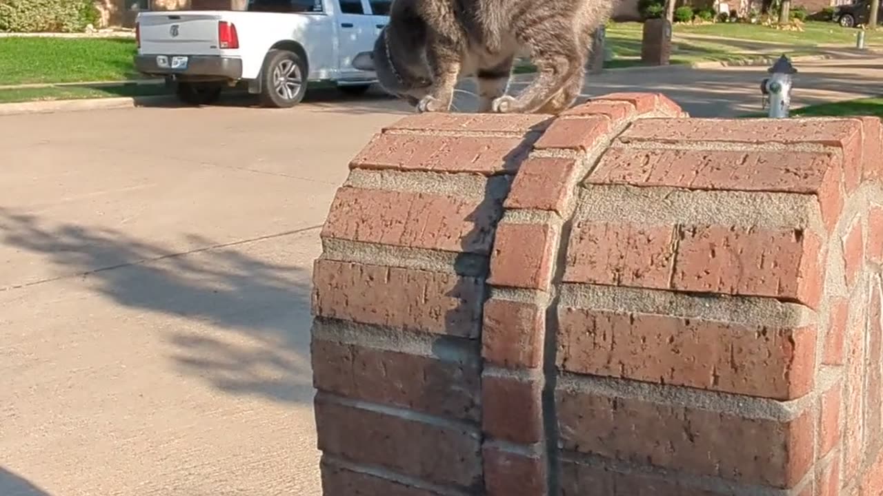 Mailbox adventures