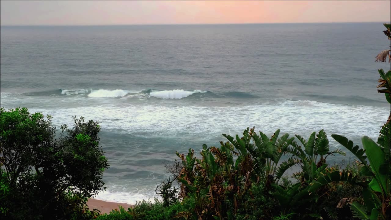 Coastal Tranquility: Waves Embracing Lone Trees| Perfect - Ed Sheeran(Piano)