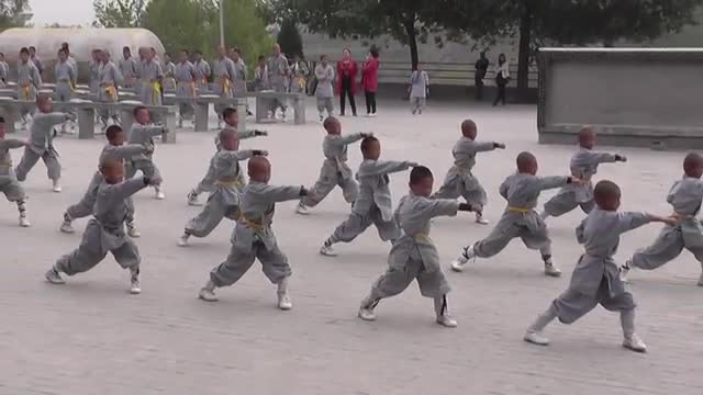 Deng Feng Shaolin Kungfu school
