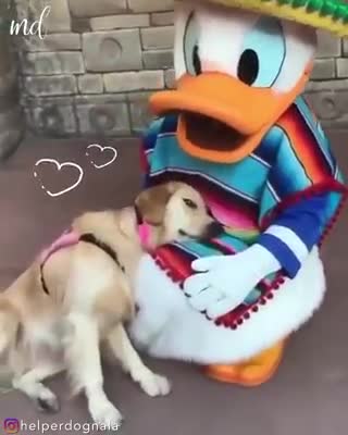 weetest Instant Friendship