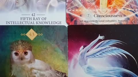 11/8/2023 Daily reading